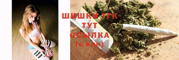 винт Медвежьегорск