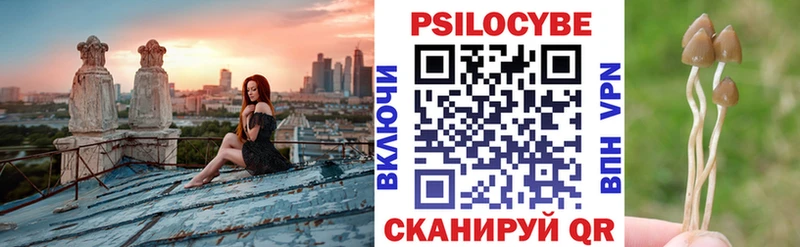 Псилоцибиновые грибы Psilocybine cubensis площадка Telegram Суоярви